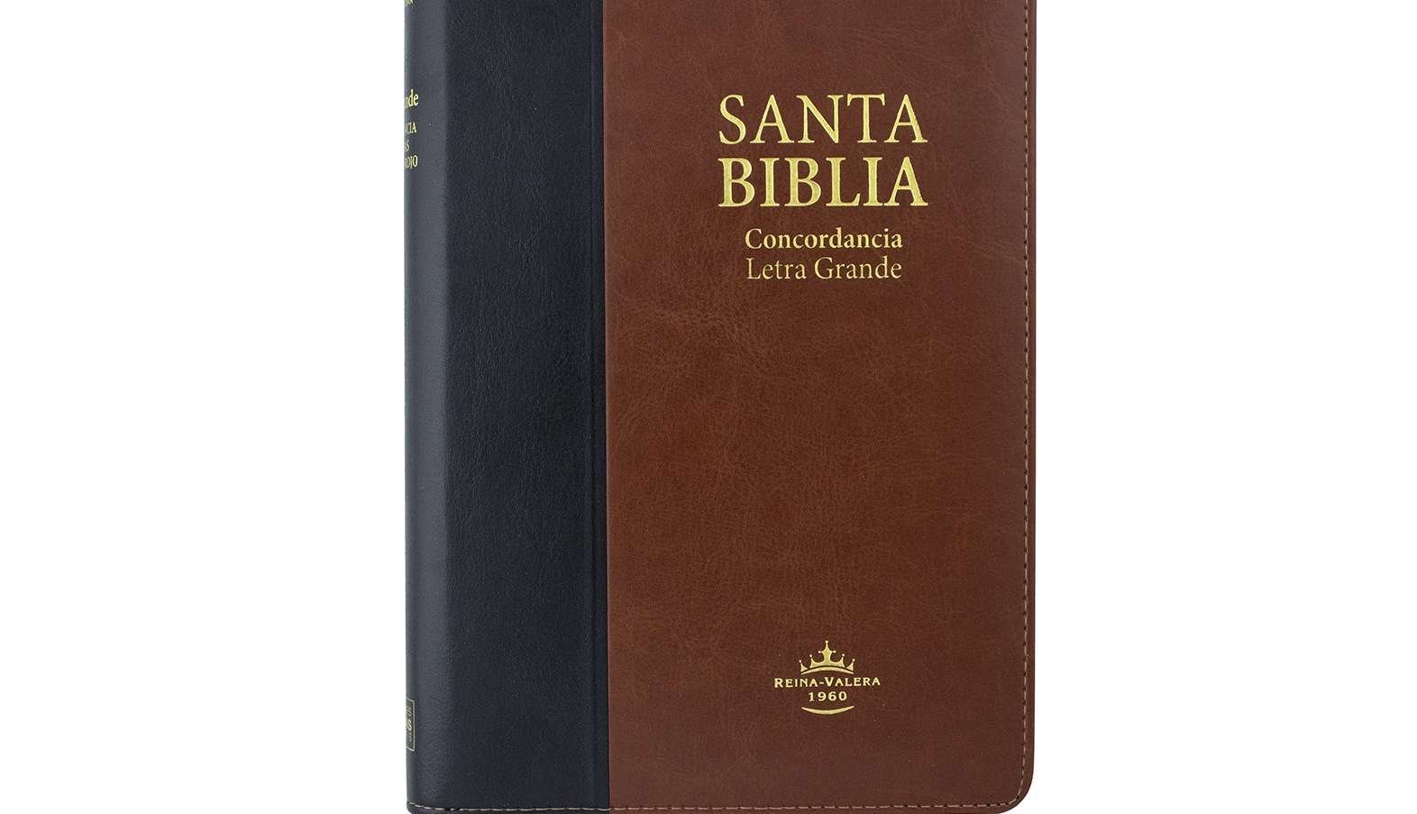 Biblia Reina Valera v1960 en PDF